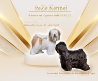 Kennel PeZe